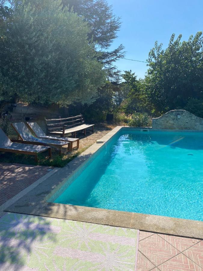 Gite Cocotte Luberon, Forcalquier Pierrerue  Dış mekan fotoğraf