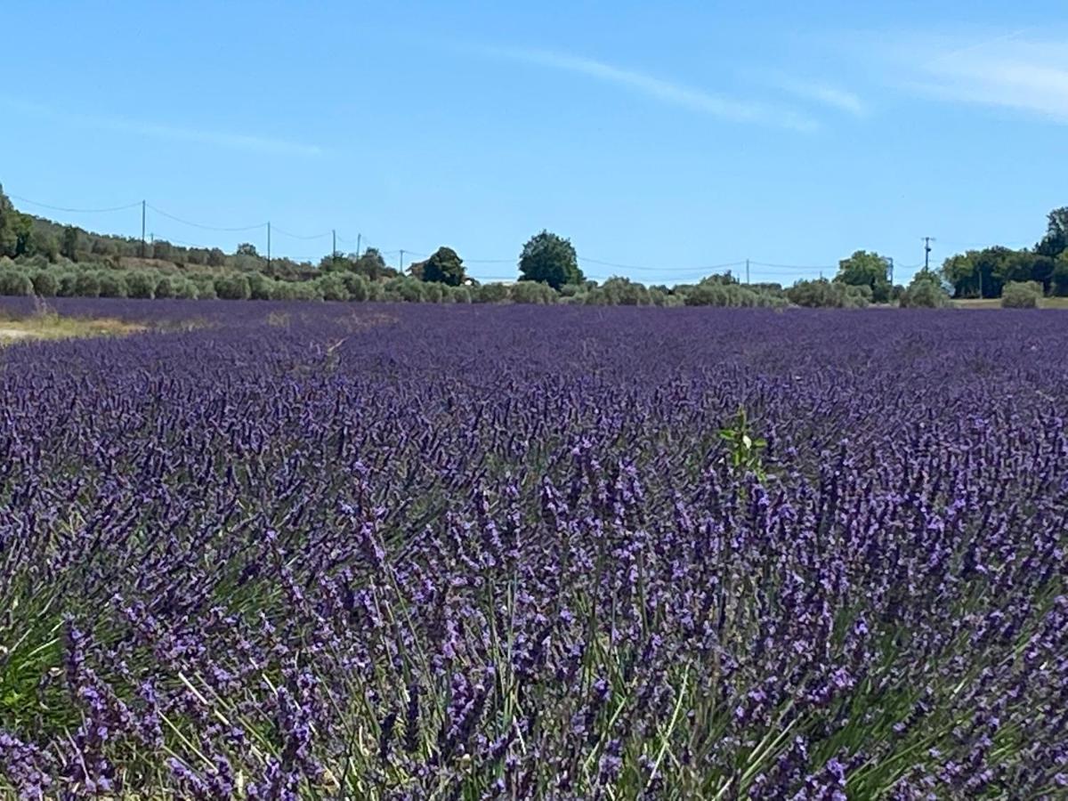 Gite Cocotte Luberon, Forcalquier Pierrerue  Dış mekan fotoğraf