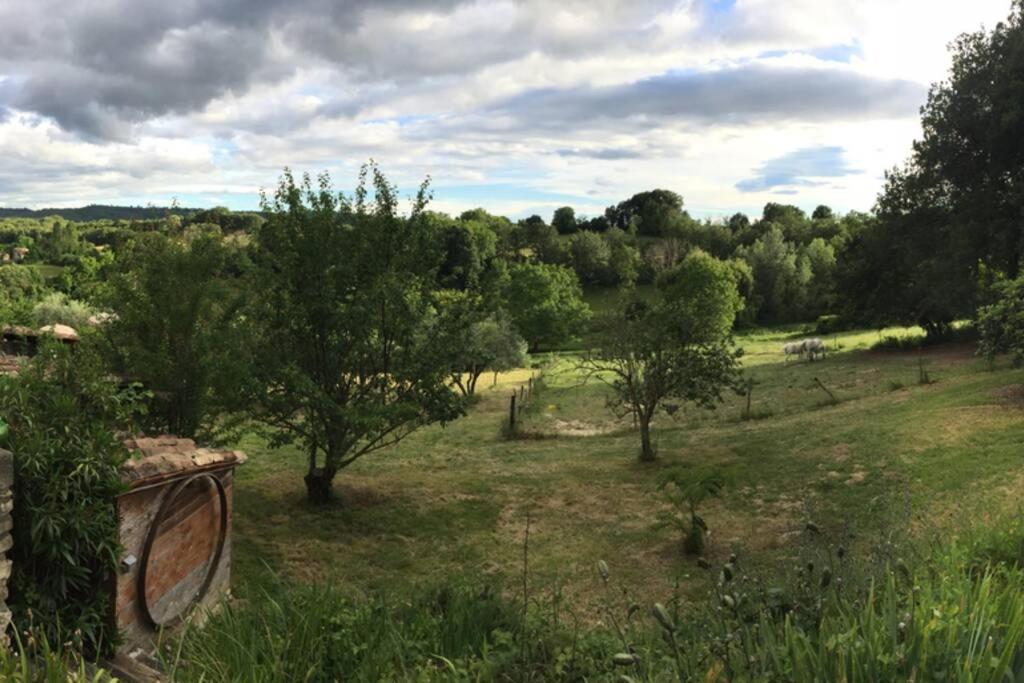 Gite Cocotte Luberon, Forcalquier Pierrerue  Dış mekan fotoğraf