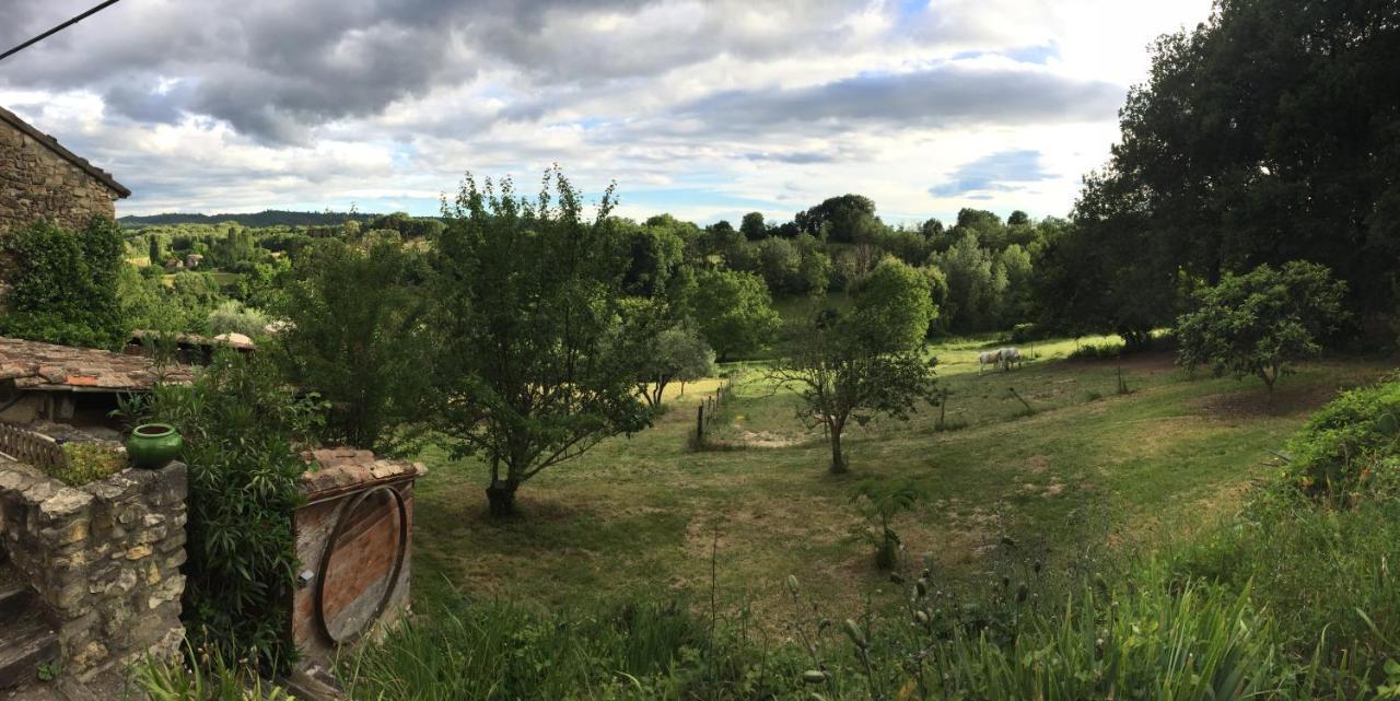 Gite Cocotte Luberon, Forcalquier Pierrerue  Dış mekan fotoğraf